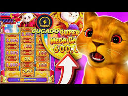 dg jogo casino