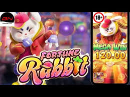 fortune rabbit correctside