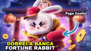 7-rabbit.com cassino